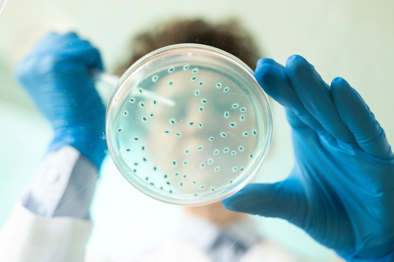 Biocidal Products &amp; Authorization in Europe