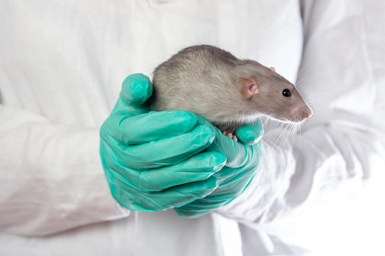 EPA To Develop New Approach Methods (NAMs) To Reduce the Chemical Testing on Animals