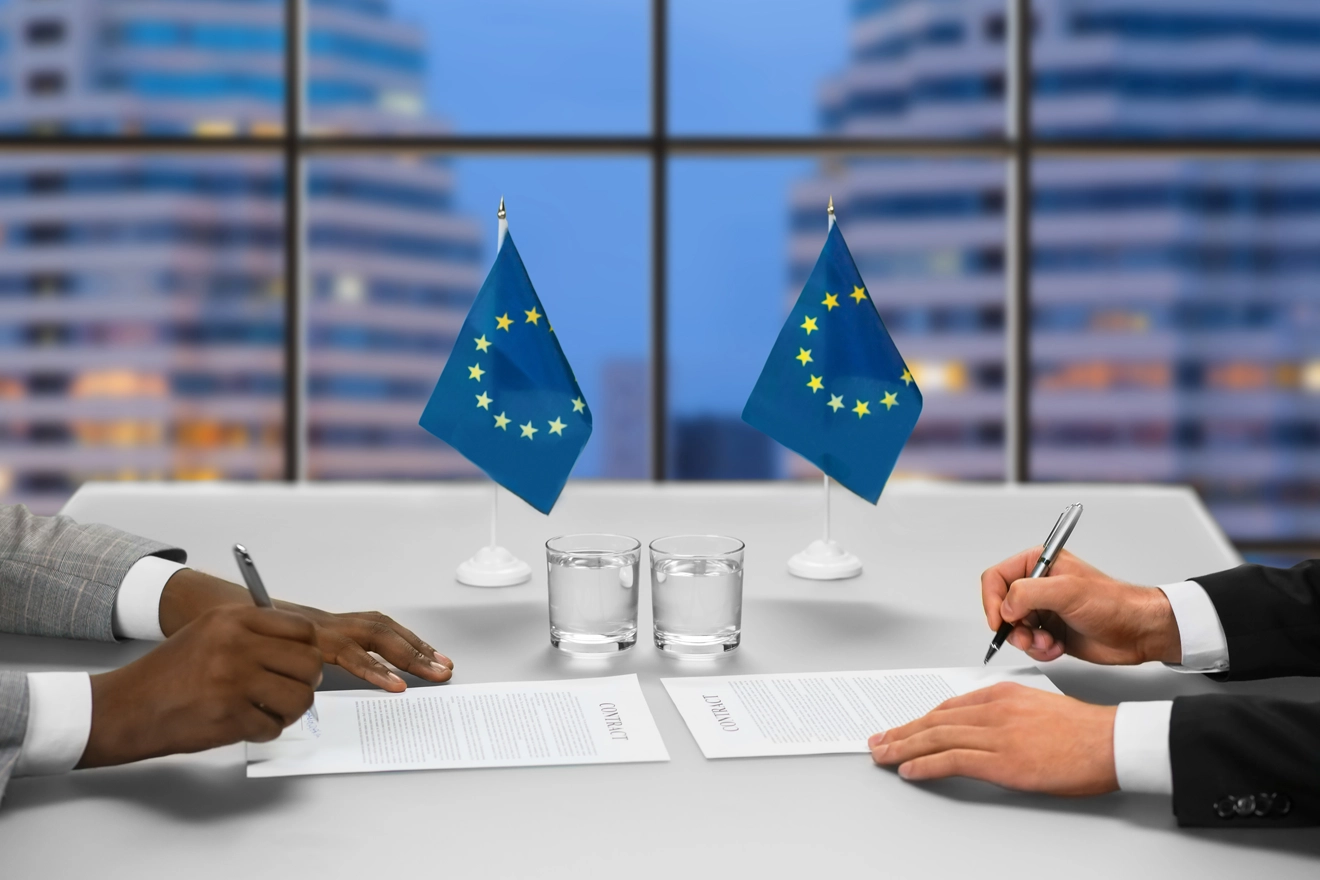 EU MDR Compliance &amp; Key Requirements