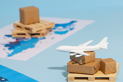 Navigating Import Permissions for Innovative Medical Devices Without a Predicate in India