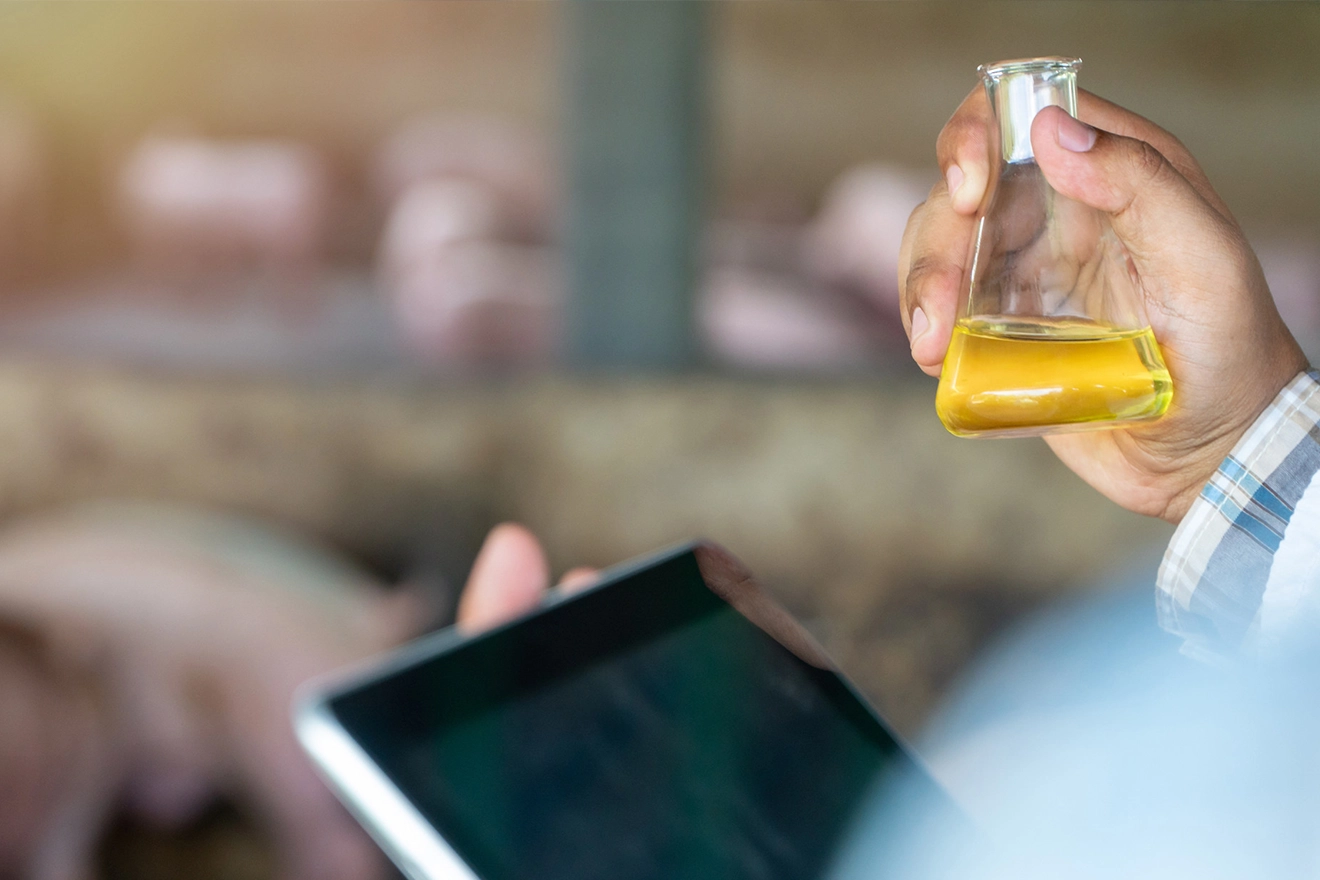 Understanding TSCA’s Impact on the Chemical Sector