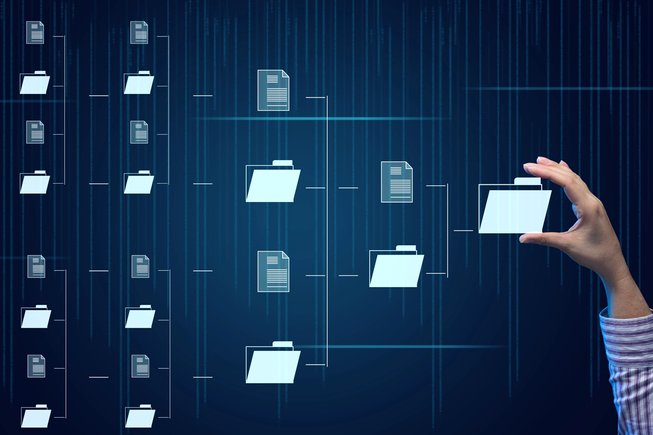 End-to-End Implementation of A Validated Document Management System (DMS) for Labeling on OpenText<sup>™</sup>