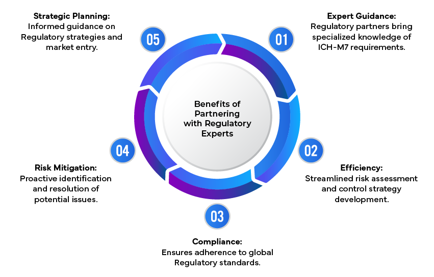 Benefits of Partnering with Regulatory Experts