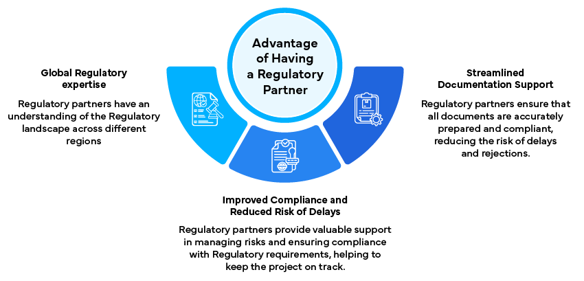 How Regulatory Submission Roadmaps Assist Firms