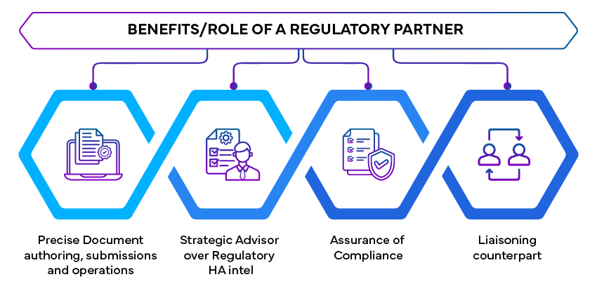 Unlocking Success: Strategies for Seamless Health Authority Interactions