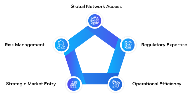 Role of Regulatory Partners in Global MAH Operations