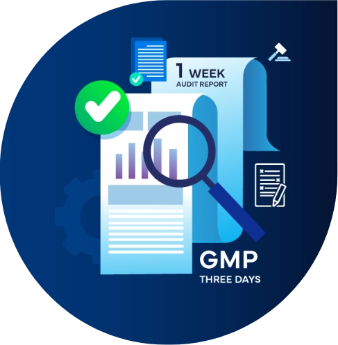  Freyr Solutions and Services