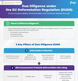 Due Diligence under the EU Deforestation Regulation (EUDR)