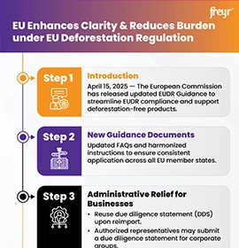 EU Enhances Clarity & Reduces Burden under EU Deforestation Regulation