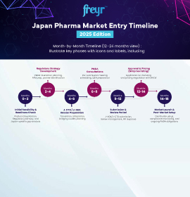 Japan Pharma Market Entry Timeline