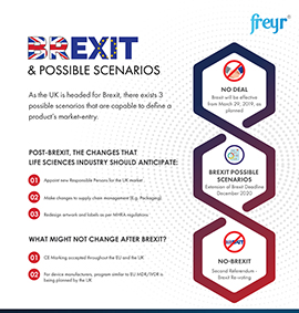 Brexit &amp; Possible Scenarios
