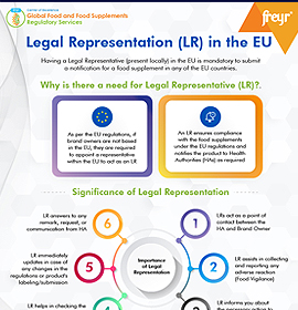 Legal Representation (LR) in the EU