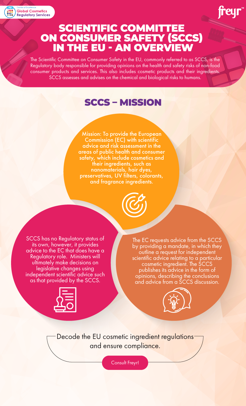 Scientific Committee on Consumer Safety (SCCS) in the EU - An Overview