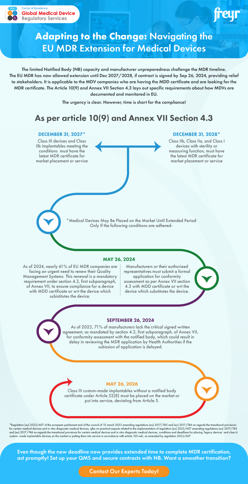 Adapting to the Change: Navigating the EU MDR Extension for Medical Devices