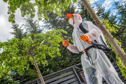 Biocides in the EU – A Regulatory Overview