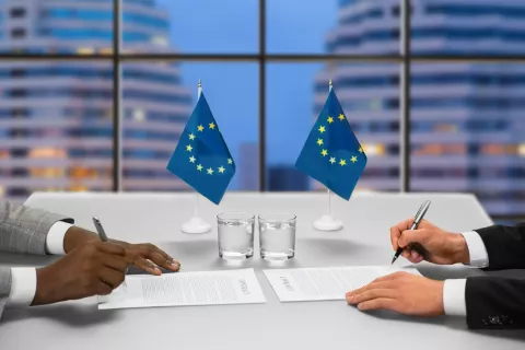 EU MDR Compliance &amp; Key Requirements