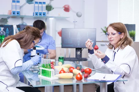 Food and Dietary Supplements: The Significance of GMP Requirements in Ensuring Quality and Safety