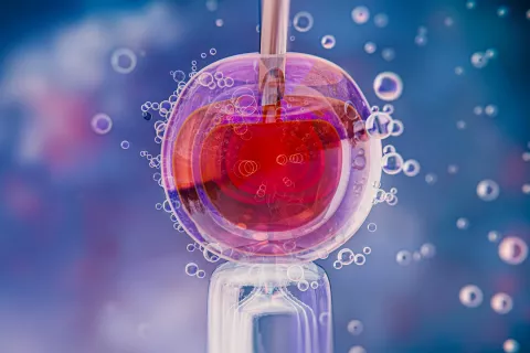 How are Near-patient Testing Devices Regulated under EU IVDR?