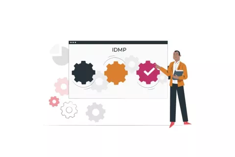 Methodologies Effecting the IDMP Implementation: Pick the Right Solution