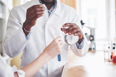 Navigating the Regulatory Landscape of Chemicals in Japan