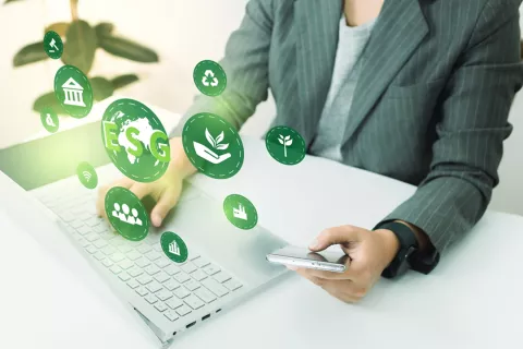 Need for Sustainable Regulatory Artwork