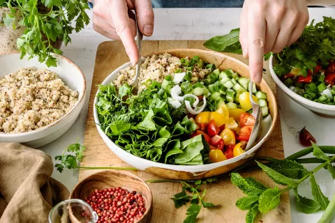 Regulatory Requirements for Plant-Based and Vegan Food Products in New Zealand