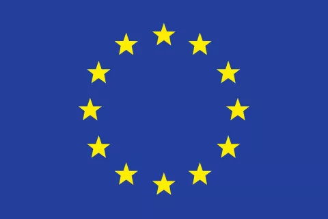 Roles and Responsibilities of An EU Qualified Person