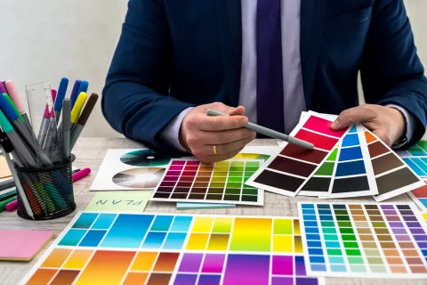 The Importance of Color Palette Conquests in Brand Building