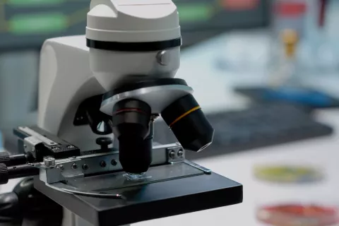 US FDA EUA and Post-EUA Regulations for Medical Devices – Insightful Webinar