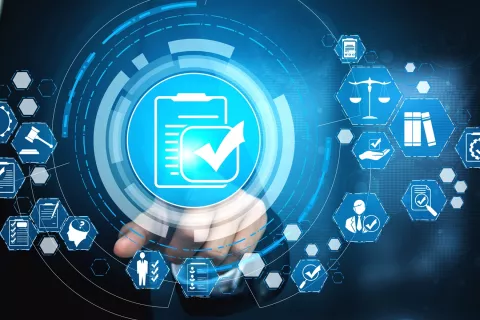 WHO Guidelines on Regulatory Framework for Local Health Authorities