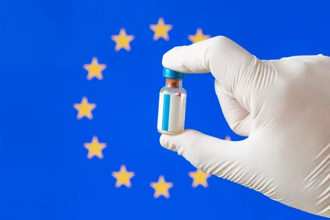 Adapting to the EU Clinical Trials Regulation: Strategies for Success