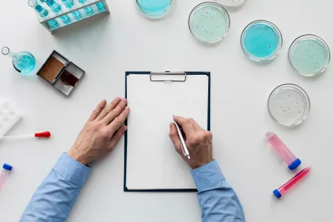 What Is a Literature-Based Submission (LBS)?