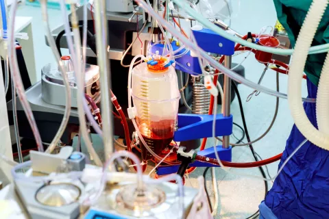 EAR Support for a China-based Hemoadsorption Technology Provider