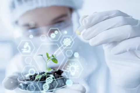 An Indian Multinational Pharmaceutical and Biotechnology Company