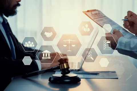 24x7 Regulatory Support for LCM Submission