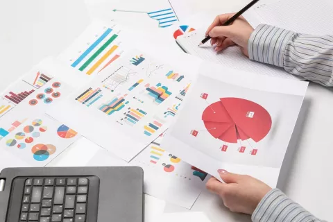 Compilation, Evaluation, and Submission of Annual Report to the USFDA