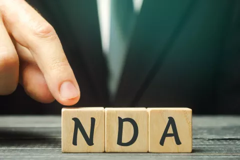 24x7 Regulatory Assistance for Original NDA Application