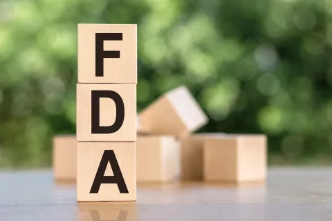 Preparation of DMF Annual Reports and Submission to the US FDA