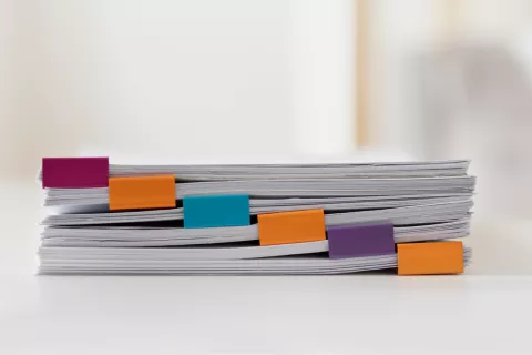 NeeS to eCTD Conversions for Multiple Products