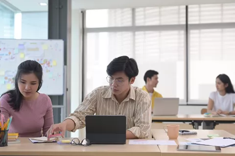 Regulatory Support in Labeling and Artwork for an ANDA