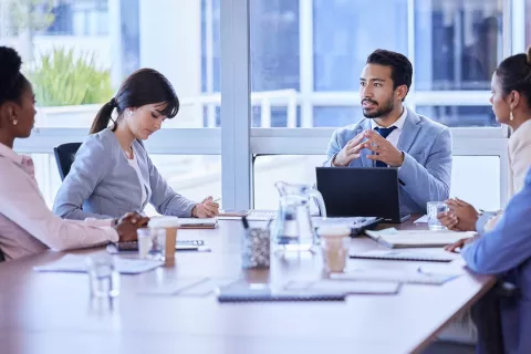 Support in Filing of Meeting Requests to the USFDA for an ANDA