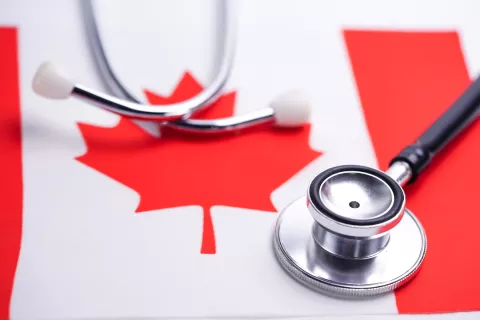 Technical Support for Response Document Formatting and Submission to the Health Canada