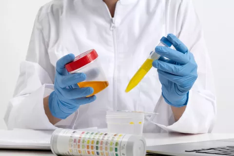 Toxicological Evaluation and Preparation of MSDS/SDS
