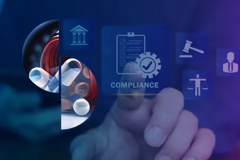 Discover the Right Regulatory Pathway for Your Medicinal Product!!