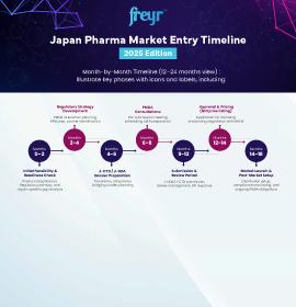 Japan Pharma Market Entry Timeline