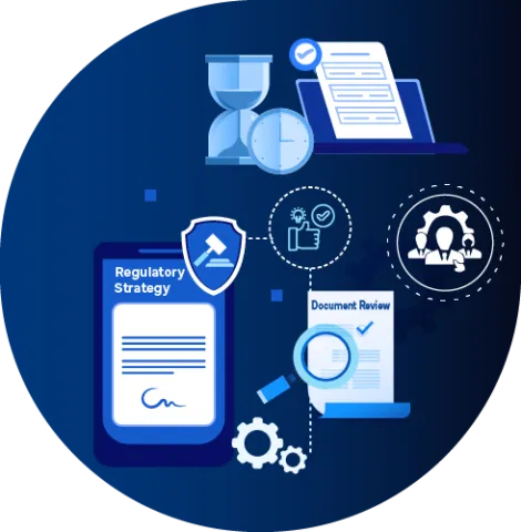 Freyr Supported a USA-based Pharmaceutical Consultant in the Review and Submission of the YY201 IND to the USFDA