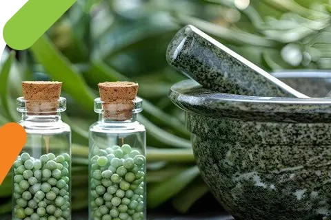 Exploring Botanicals: Comprehensive Insights into Japan, South Korea, and China Markets