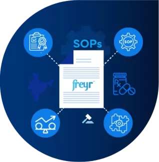 Freyr Supported in Post-Acquisition Management Support Services Establishes Integrated Processes and Systems for an Indian Multinational Pharmaceutical Giant