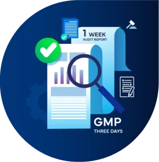 Freyr supported GMP Audit for UK-Based Pharmaceutical Company in 2 Weeks: GMP Audit Support