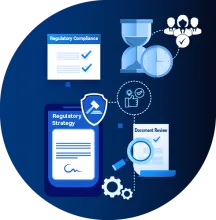 Freyr Supported Regulatory transfer & holding of K-DMF in South Korea for a Hungary based Pharmaceutical Company